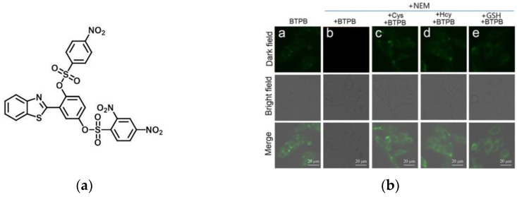 Figure 24