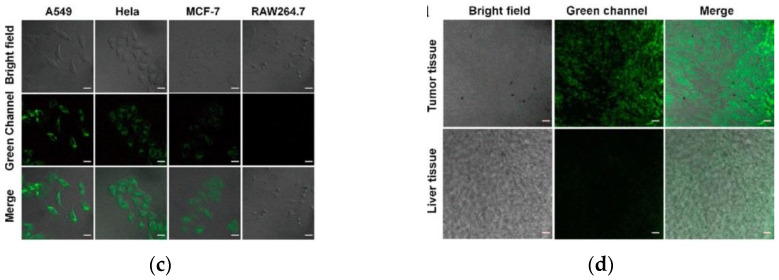 Figure 33