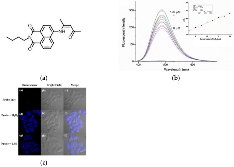 Figure 31