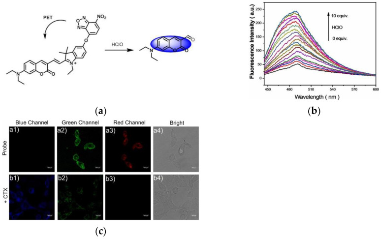 Figure 34