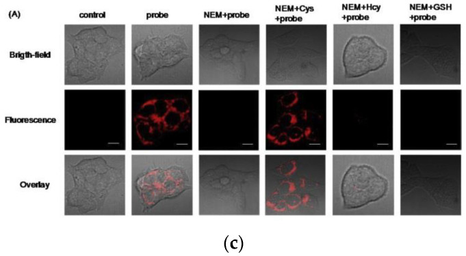 Figure 25