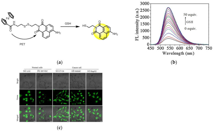 Figure 21