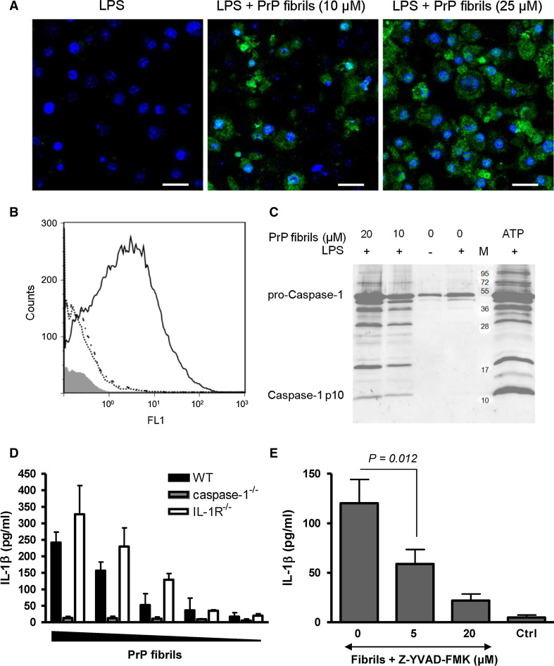 Fig. 3