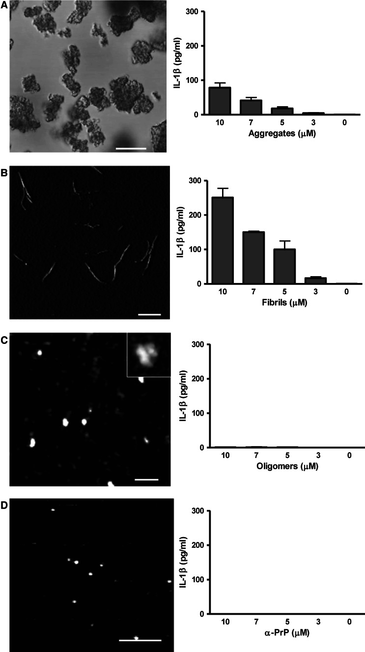 Fig. 6