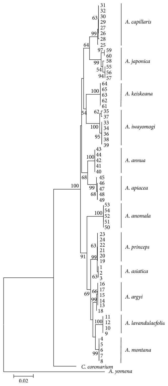 Figure 2