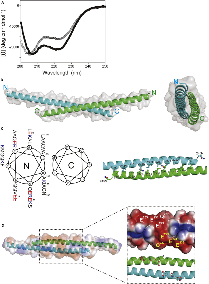 Figure 2