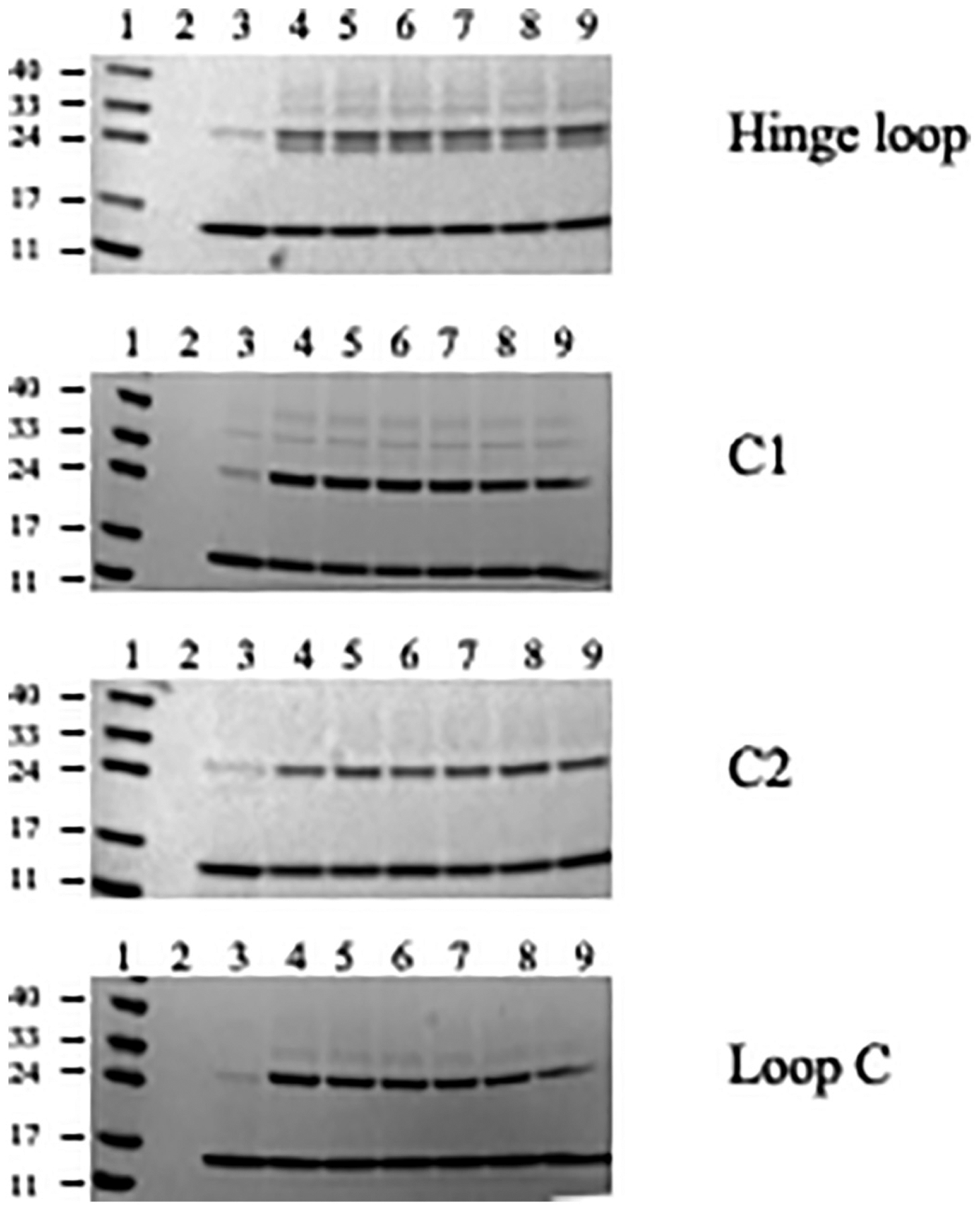 Fig. 5.