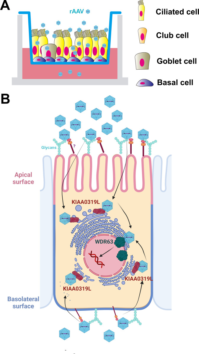 Fig 10