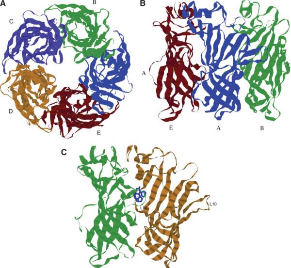 Fig. 6