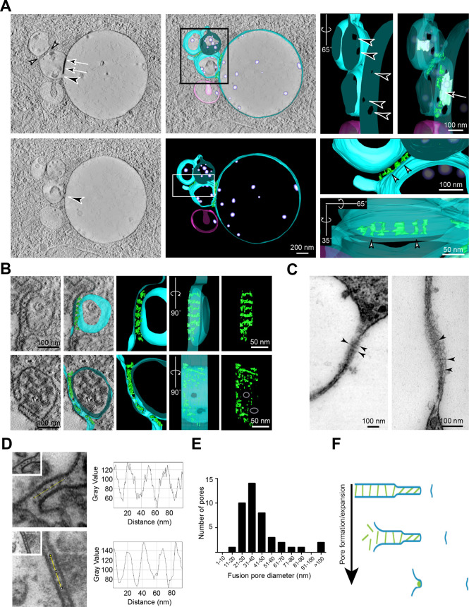 Fig. 6.