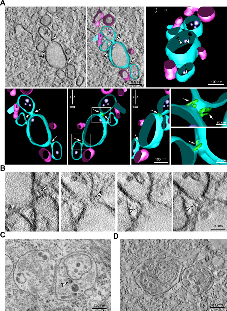 Fig. 4.