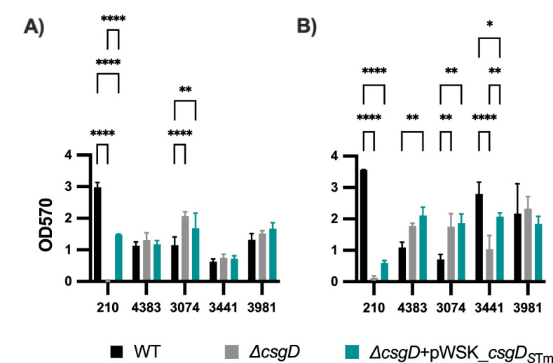 Figure 5