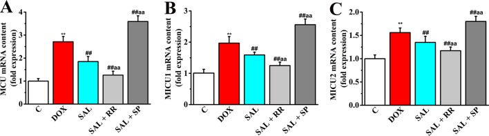 Figure 11