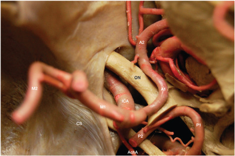 Figure 2.