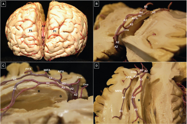 Figure 4.