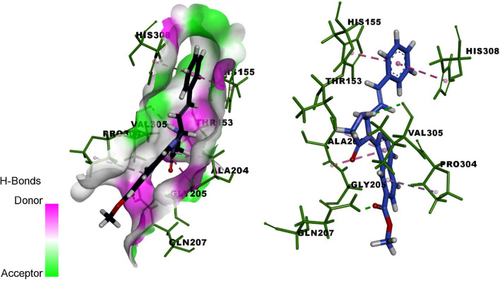 Fig.10