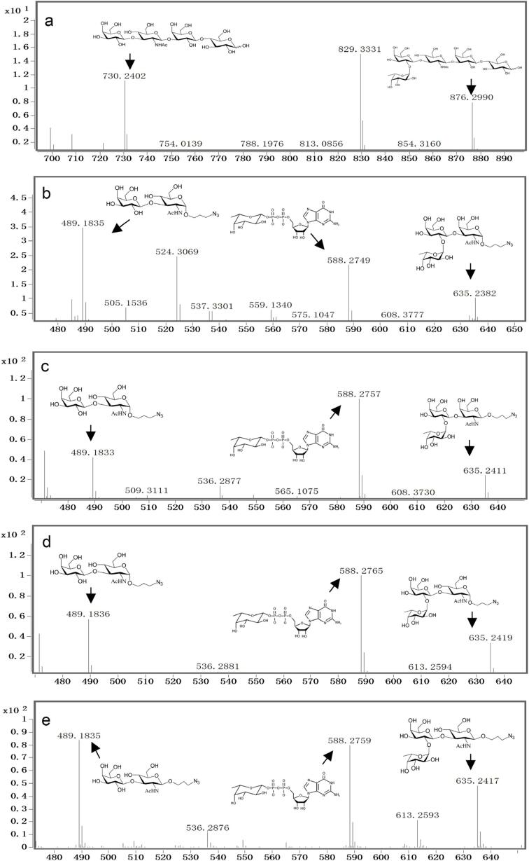 Fig. 4
