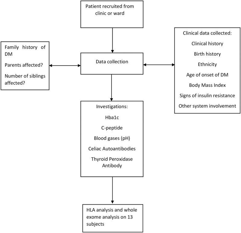 Fig 1