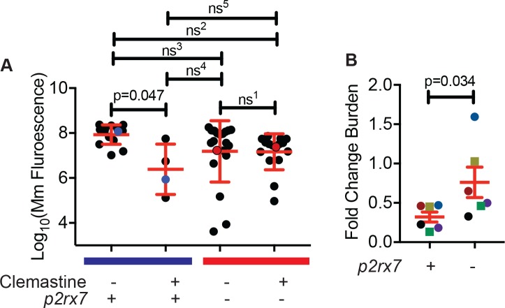 Figure 6—figure supplement 1.