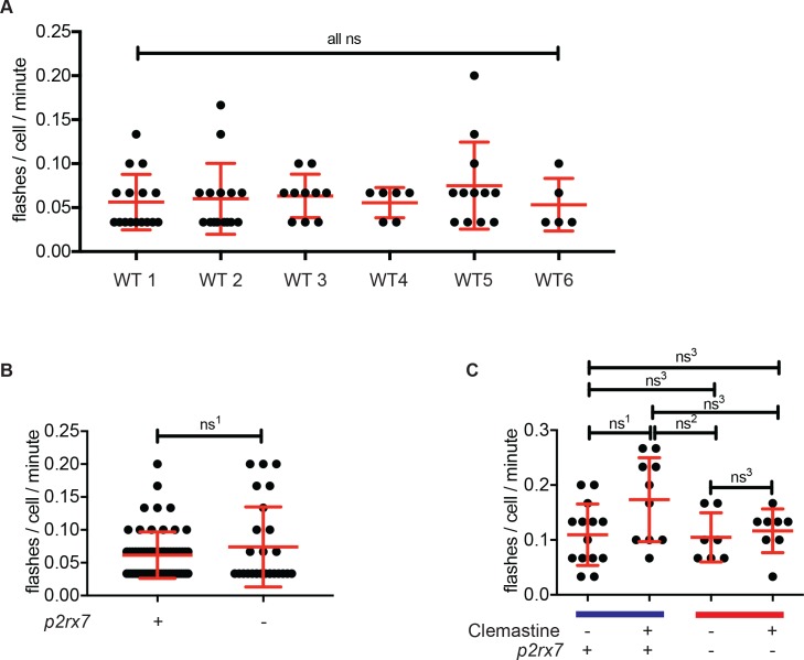 Figure 3—figure supplement 1.