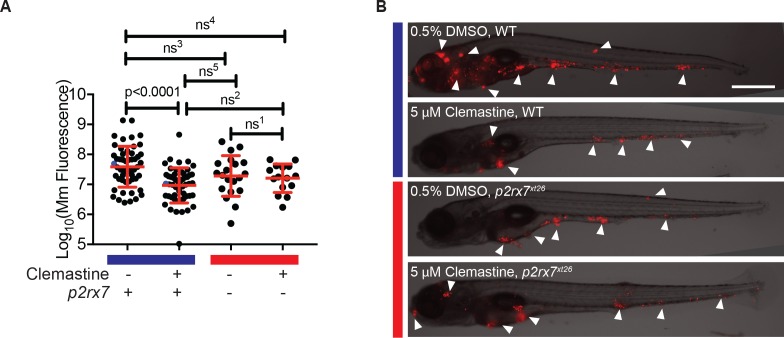 Figure 4.