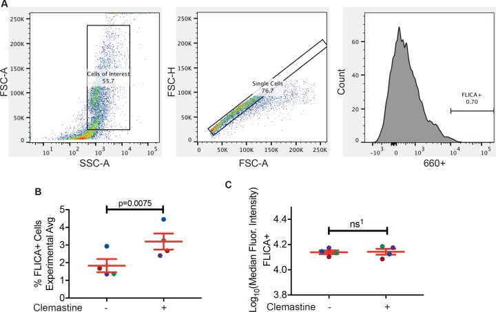 Figure 6—figure supplement 2.