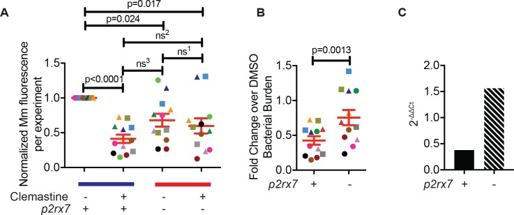 Figure 4—figure supplement 1.