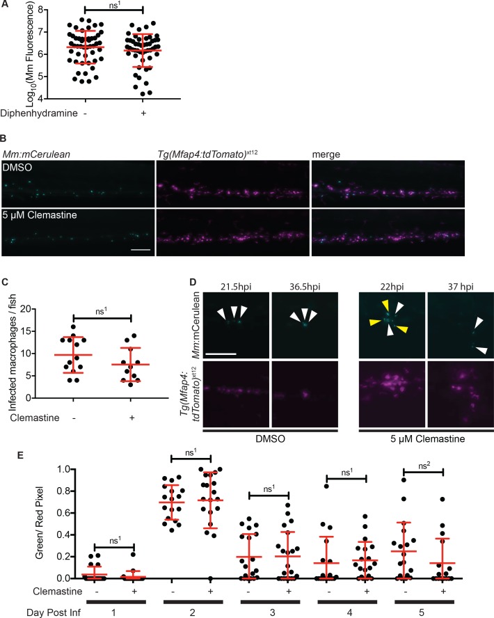 Figure 2—figure supplement 1.