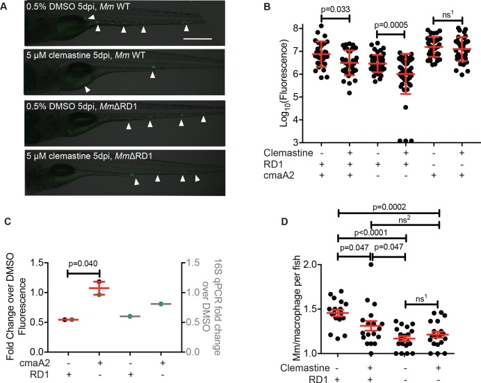 Figure 5—figure supplement 1.