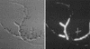 FIG. 8.