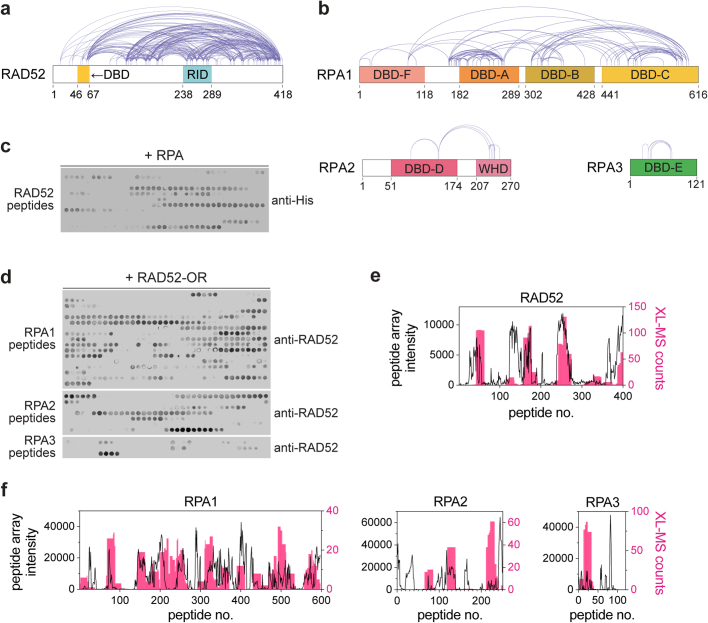 Extended Data Fig. 10