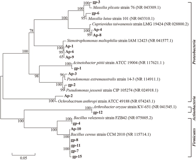 FIGURE 2