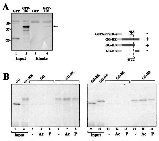 FIG. 8.