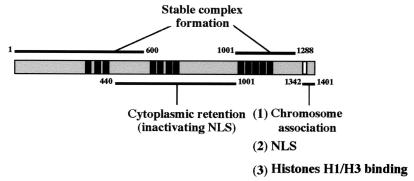 FIG. 9.