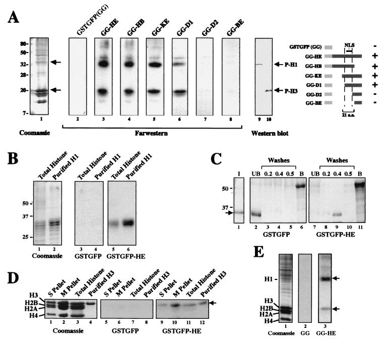 FIG. 7.