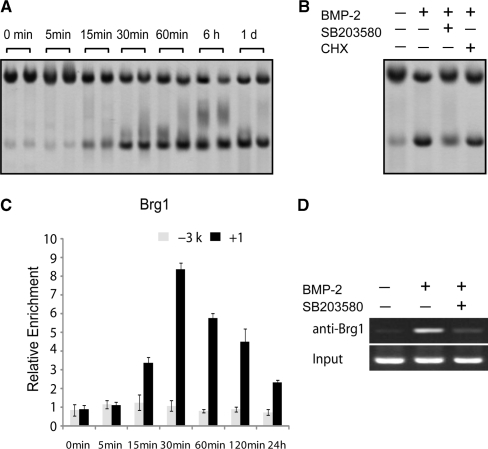 Figure 6.