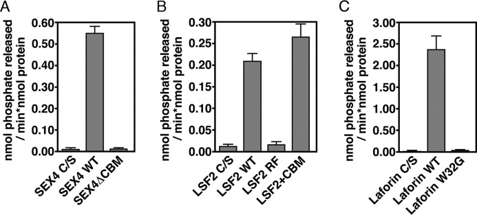 FIGURE 5.