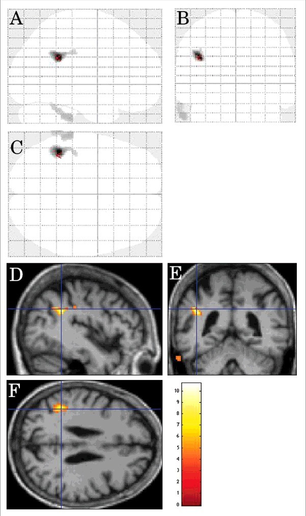 FIGURE 4.