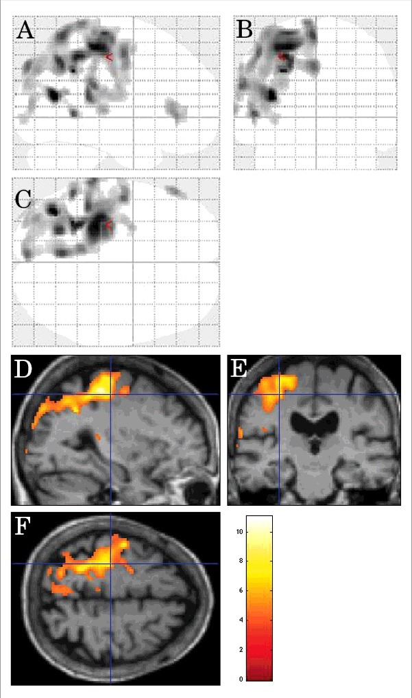 FIGURE 6.