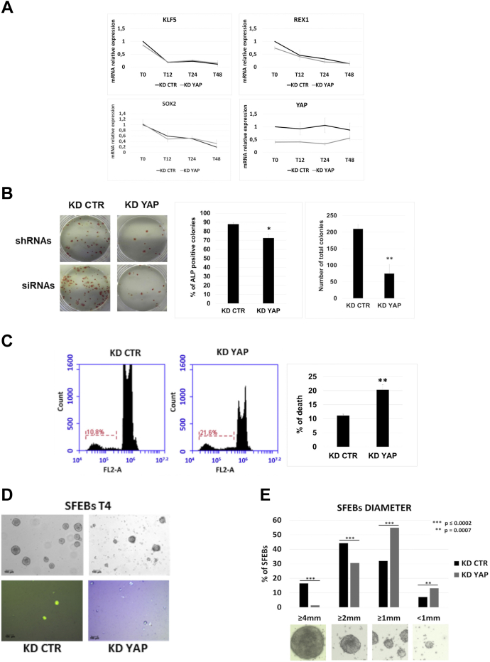 Figure 2