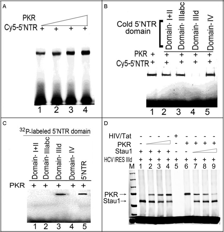 Figure 7.