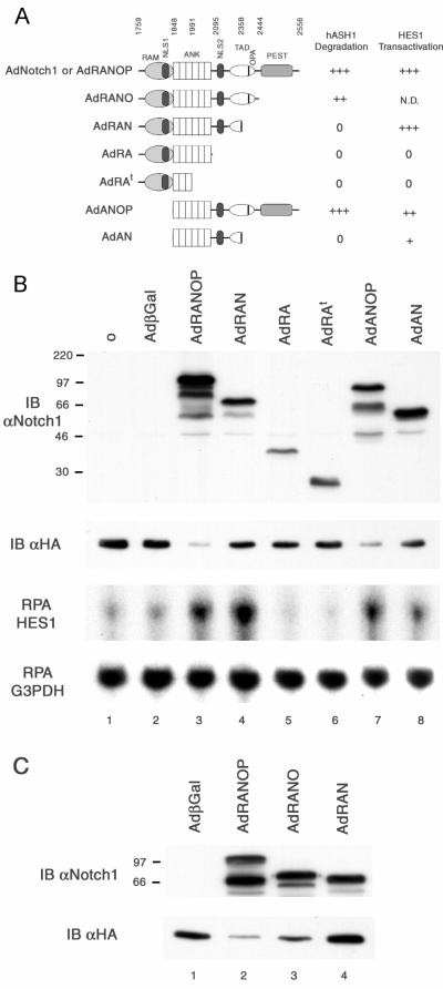 FIG. 8.