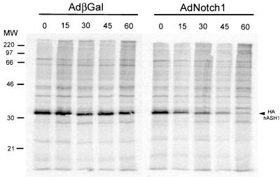 FIG. 5.