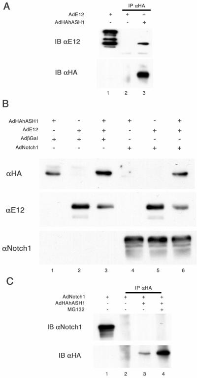 FIG. 9.