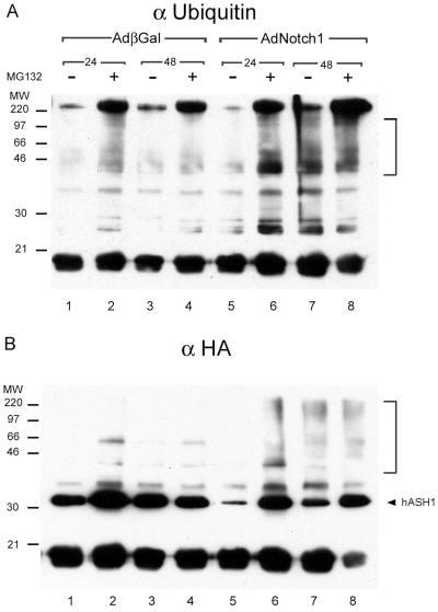 FIG. 7.