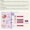 Structured Graphical Abstract