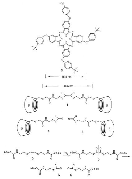 Scheme 1