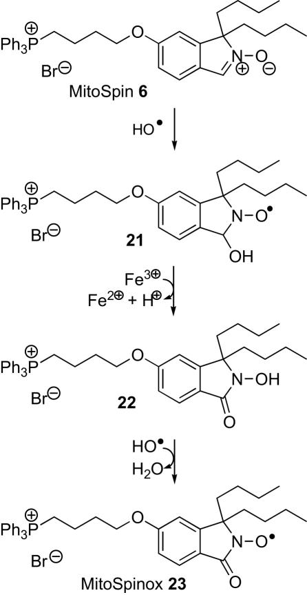 Scheme 5