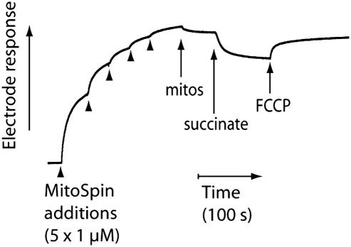 Figure 2