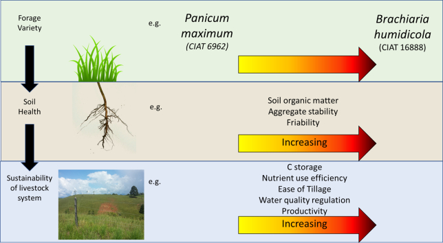 Unlabelled Image